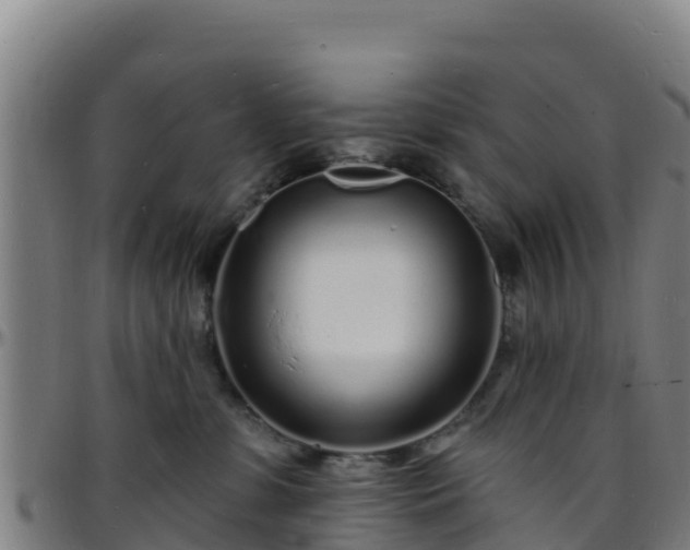 X0000096390331200801311326