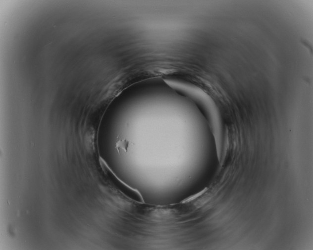X0000096390332200801311326