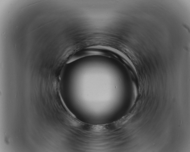 X0000096390333200801311326