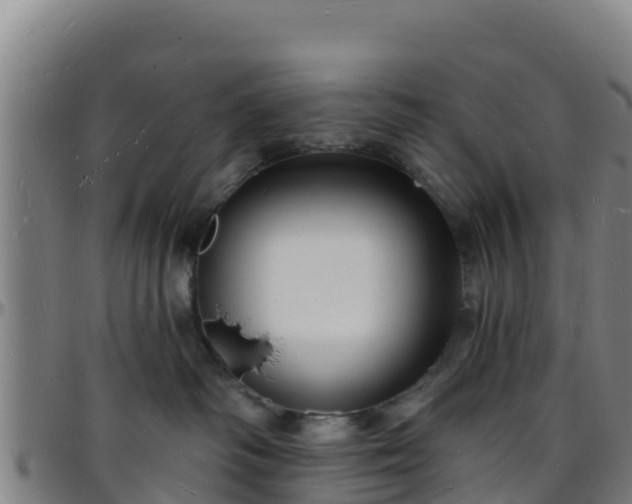 X0000096390334200801311326