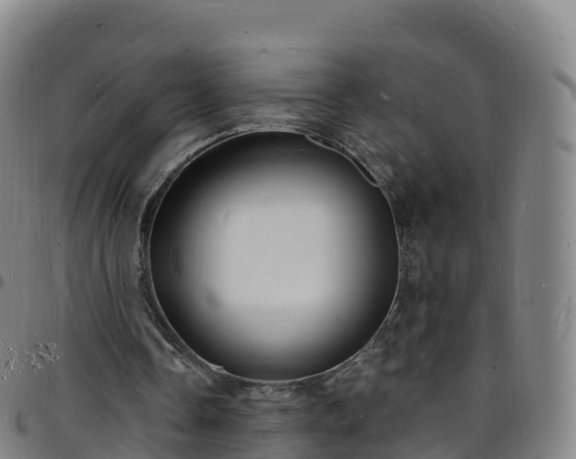 X0000096390338200801311326
