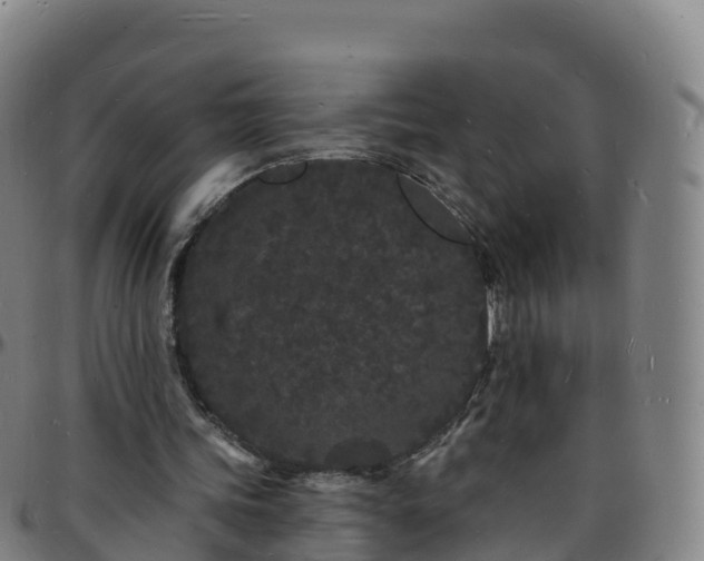 X0000096390339200801311326