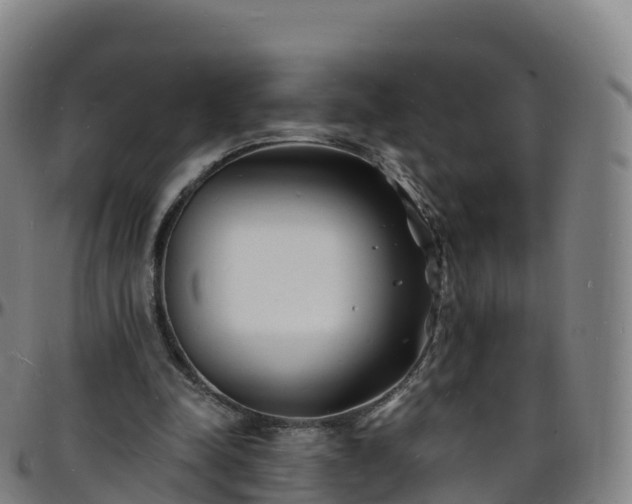 X0000096390342200801311326