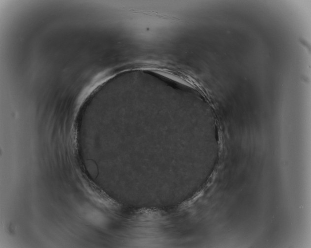 X0000096390343200801311326