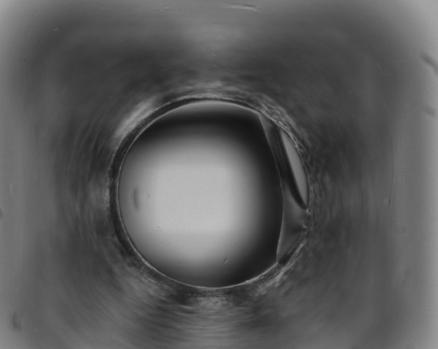 X0000096390344200801311326