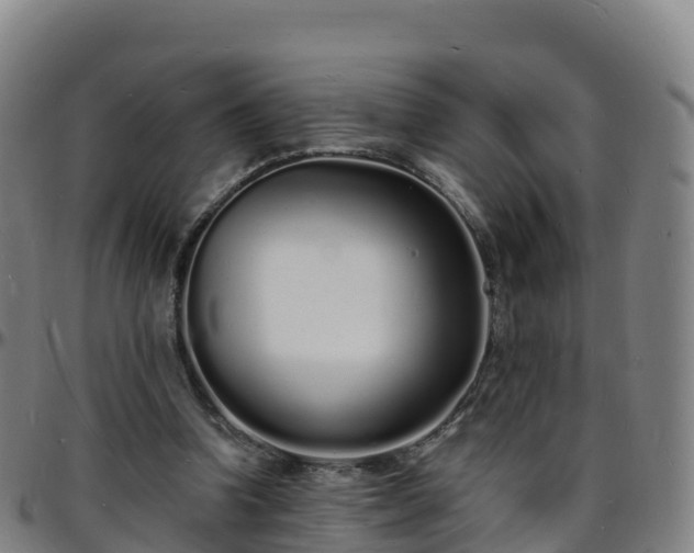 X0000096390346200801311326