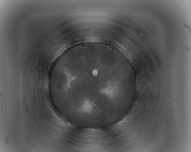 X0000096390347200801311326