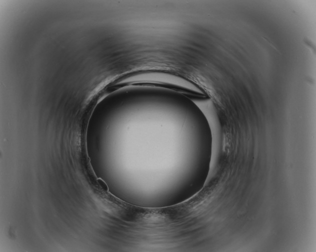 X0000096390348200801311326