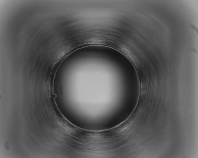 X0000096390349200801311326