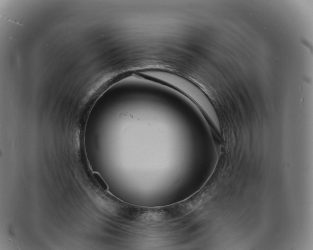 X0000096390350200801311326