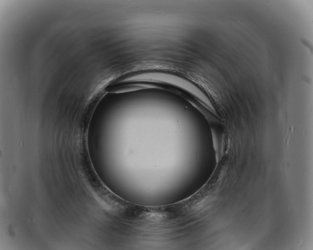 X0000096390352200801311326