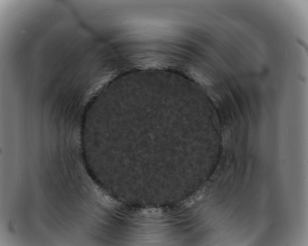 X0000096390353200801311326