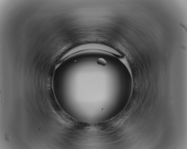 X0000096390356200801311326