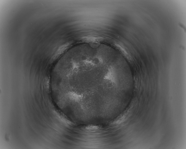 X0000096390357200801311326