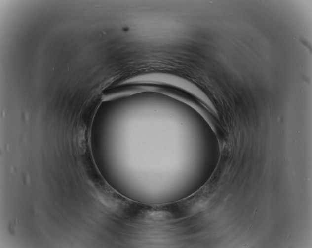 X0000096390360200801311326