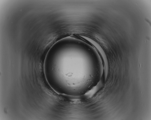 X0000096390362200801311326