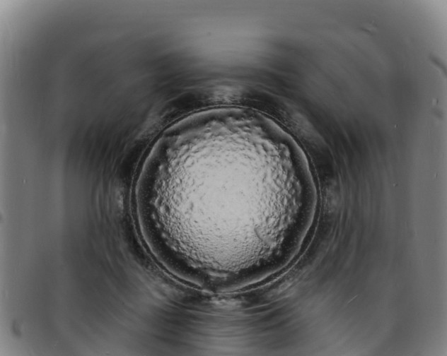 X0000096390363200801311326