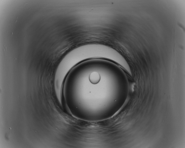 X0000096390364200801311326