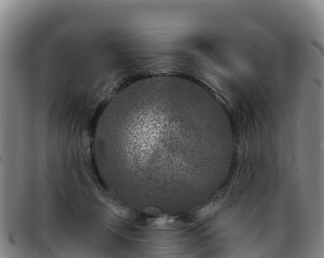 X0000096390366200801311326