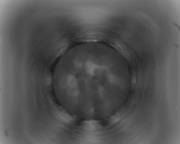 X0000096390367200801311326