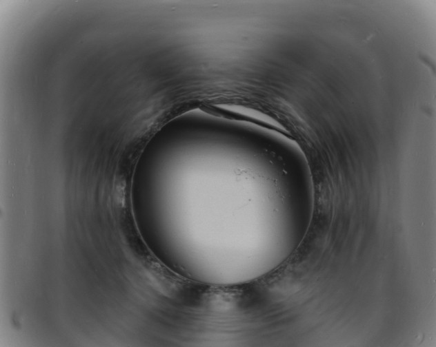 X0000096390368200801311326