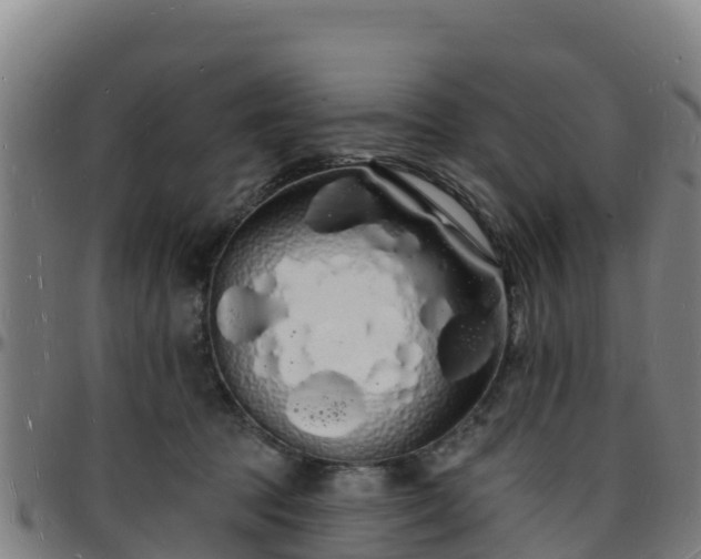 X0000096390369200801311326
