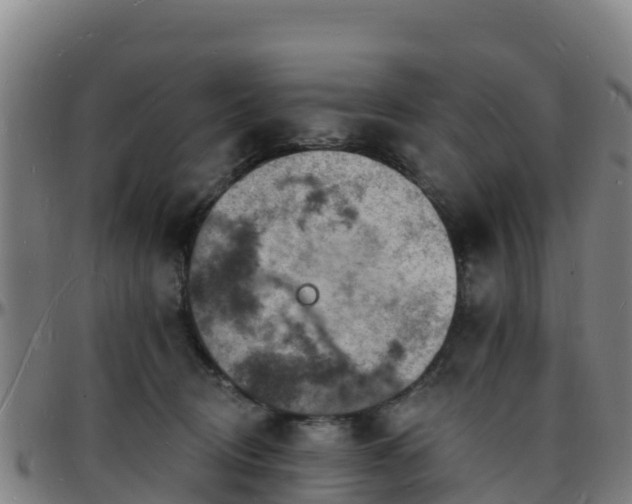 X0000096390370200801311326