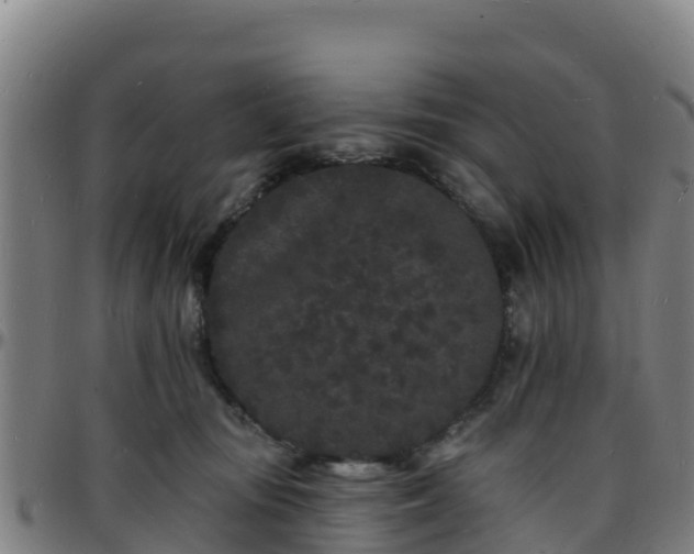 X0000096390371200801311326