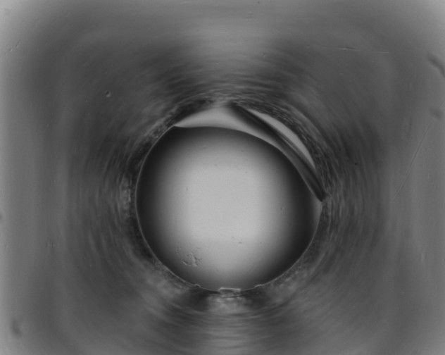 X0000096390372200801311326