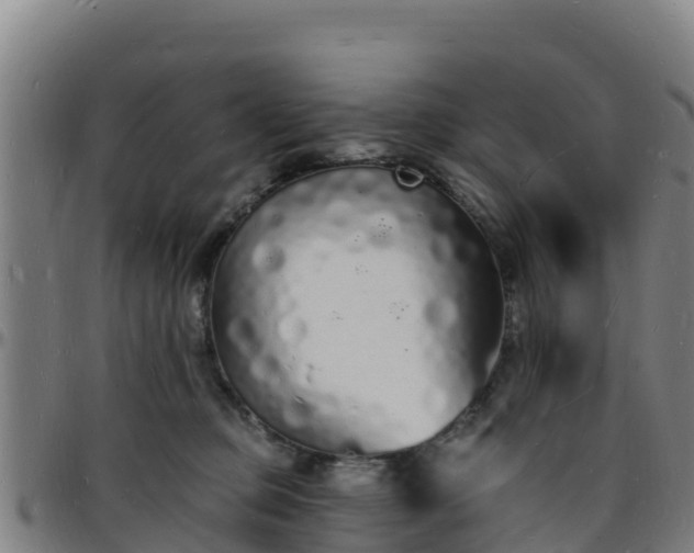 X0000096390373200801311326