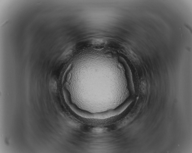 X0000096390375200801311326