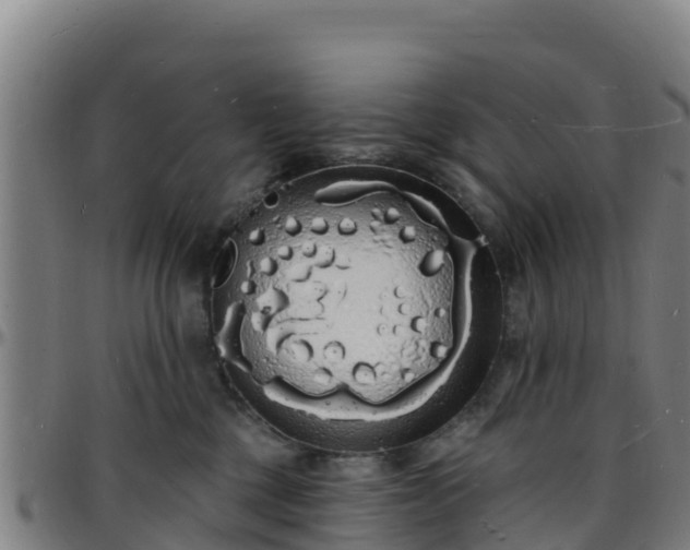 X0000096390377200801311326