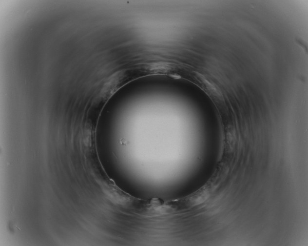 X0000096390379200801311326