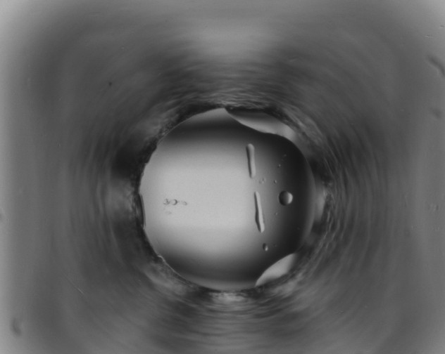 X0000096390380200801311326