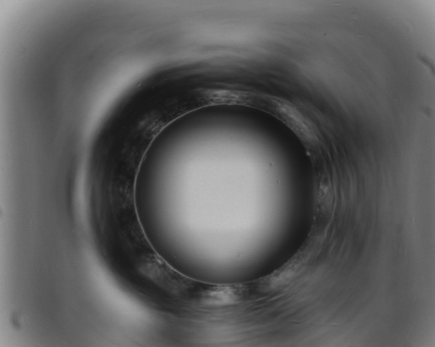 X0000096390381200801311326