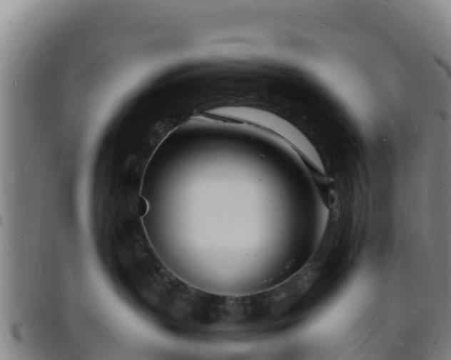 X0000096390383200801311326
