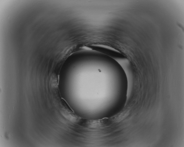 X0000096390384200801311326