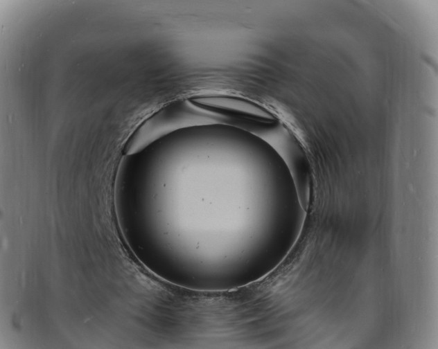 X0000096390385200801311326