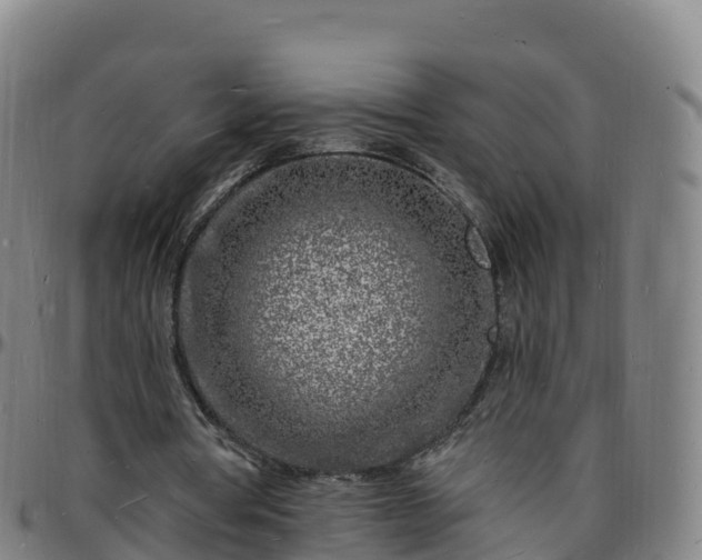 X0000096390386200801311325