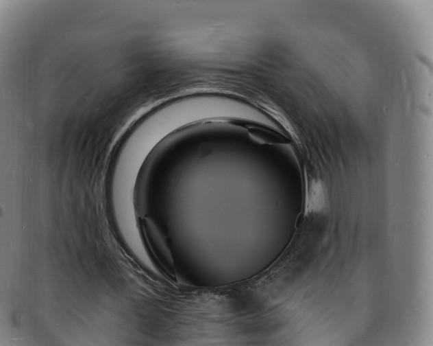 X0000096390387200801311325