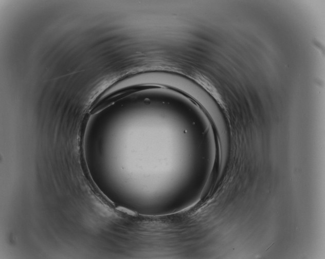 X0000096390389200801311325