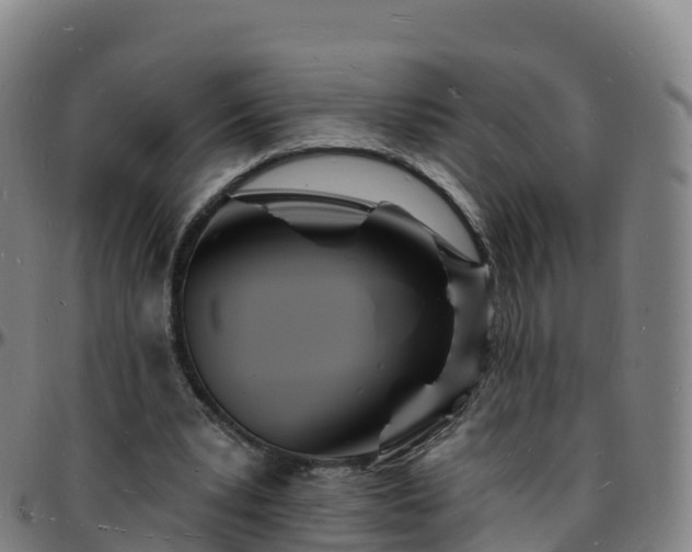 X0000096390391200801311325
