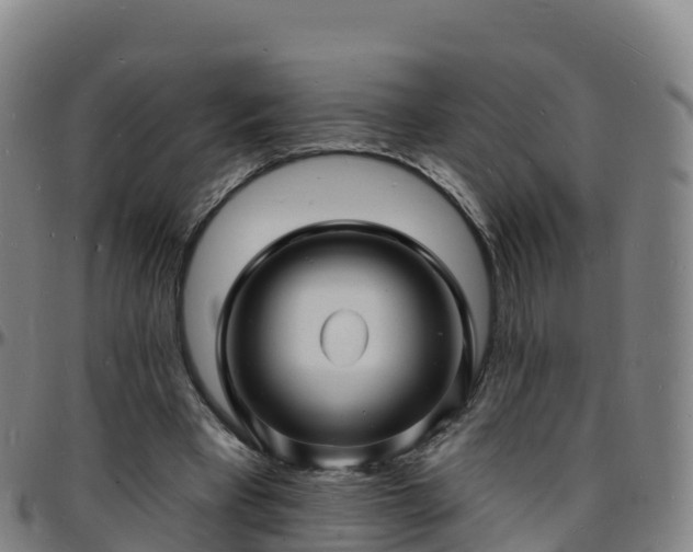 X0000096390393200801311325