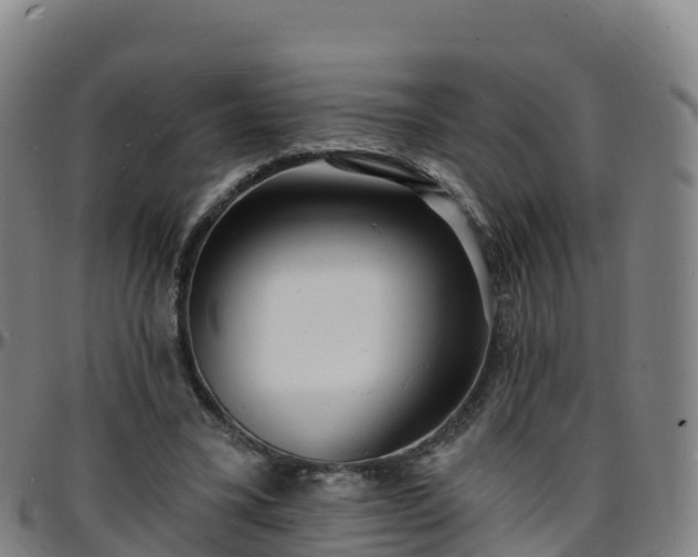 X0000096390395200801311325