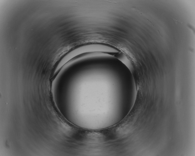 X0000096390397200801311325