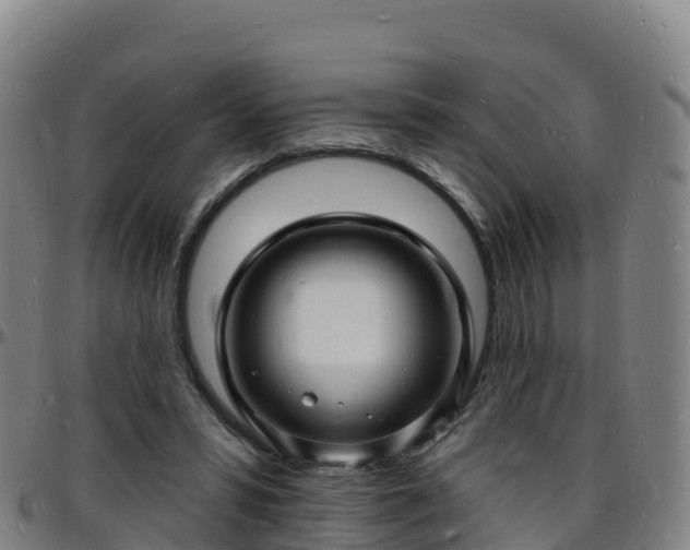 X0000096390399200801311325