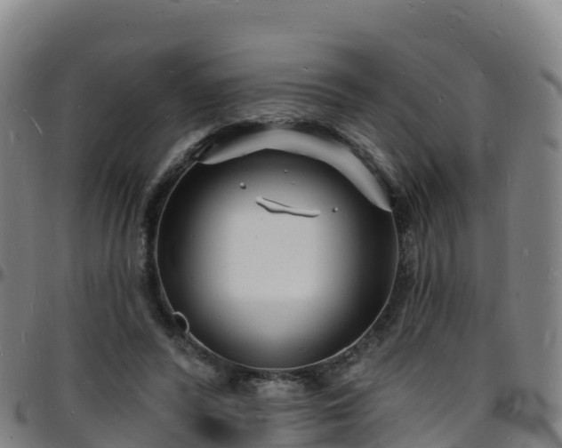 X0000096390400200801311325