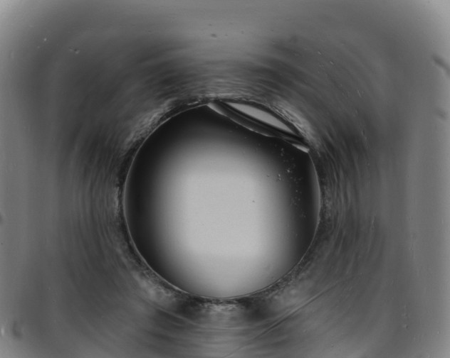 X0000096390401200801311325