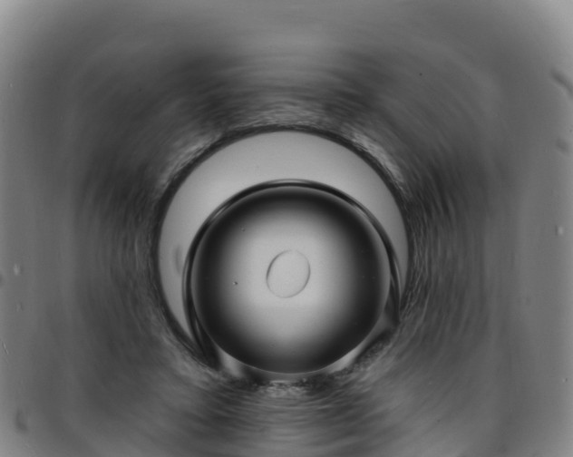 X0000096390403200801311325