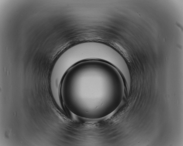 X0000096390405200801311325